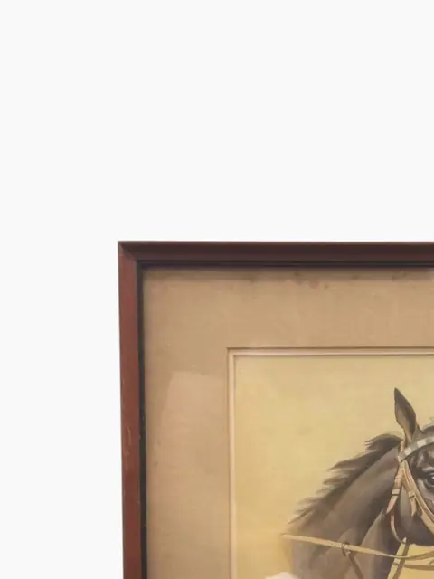 Portrait of a Horse - detail