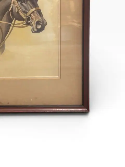 Portrait of a Horse - detail