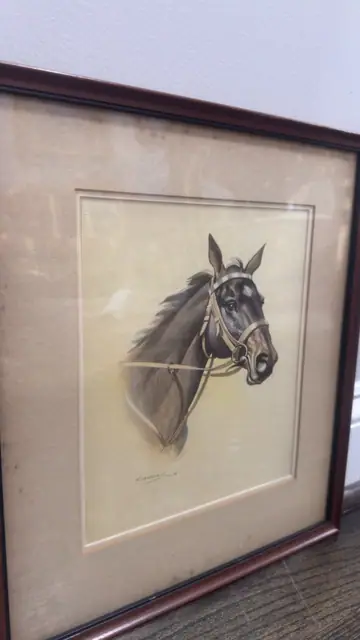 Portrait of a Horse - detail