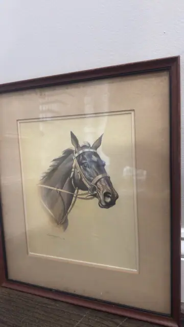 Portrait of a Horse - detail
