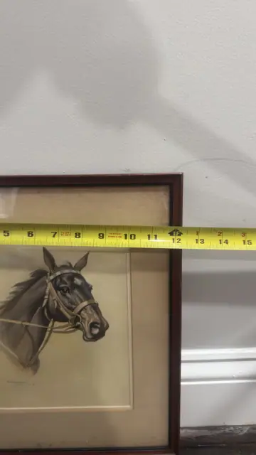 Portrait of a Horse - detail