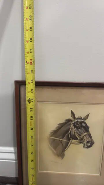 Portrait of a Horse - detail